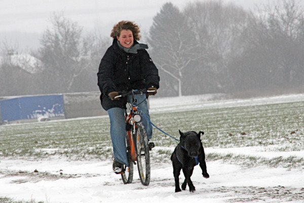 Bikejöring der Sport für (fast) Jederhund